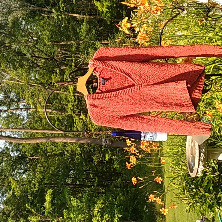 Coral Chunky Hooded American Eagle Outfitters Knit Sweater Xs -M